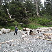 Picture 252